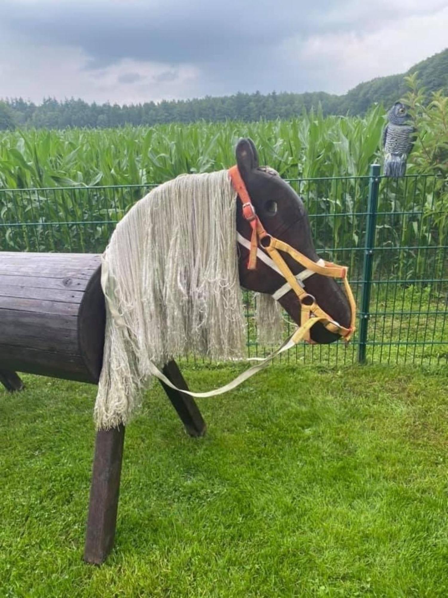 Schoene Auszeit Re14 Sögel Esterno foto